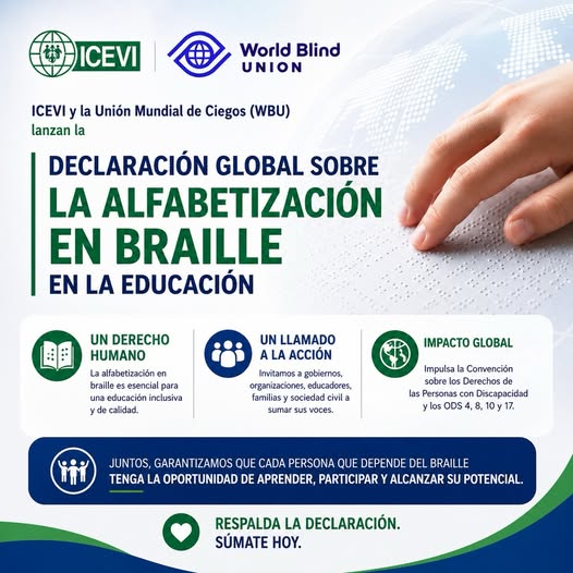 Flyer ICEVI